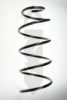 SPIDAN 55612 Coil Spring